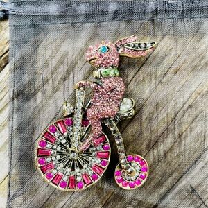 Bicycling bunny